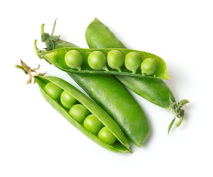 Pea Protein