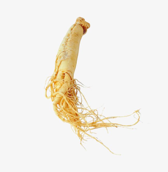 Ginseng