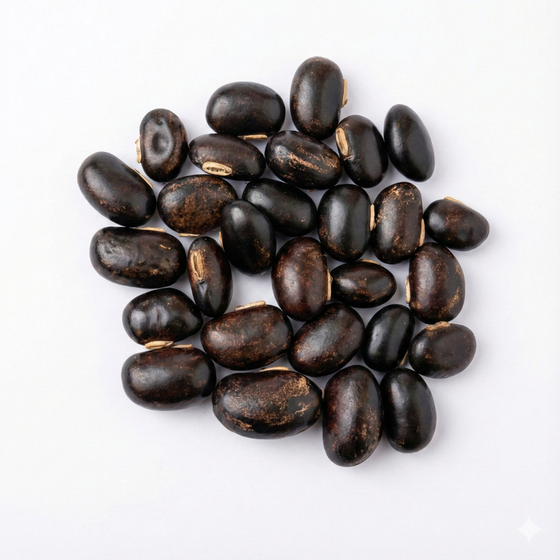 Kaunch Beej (Mucuna pruriens)