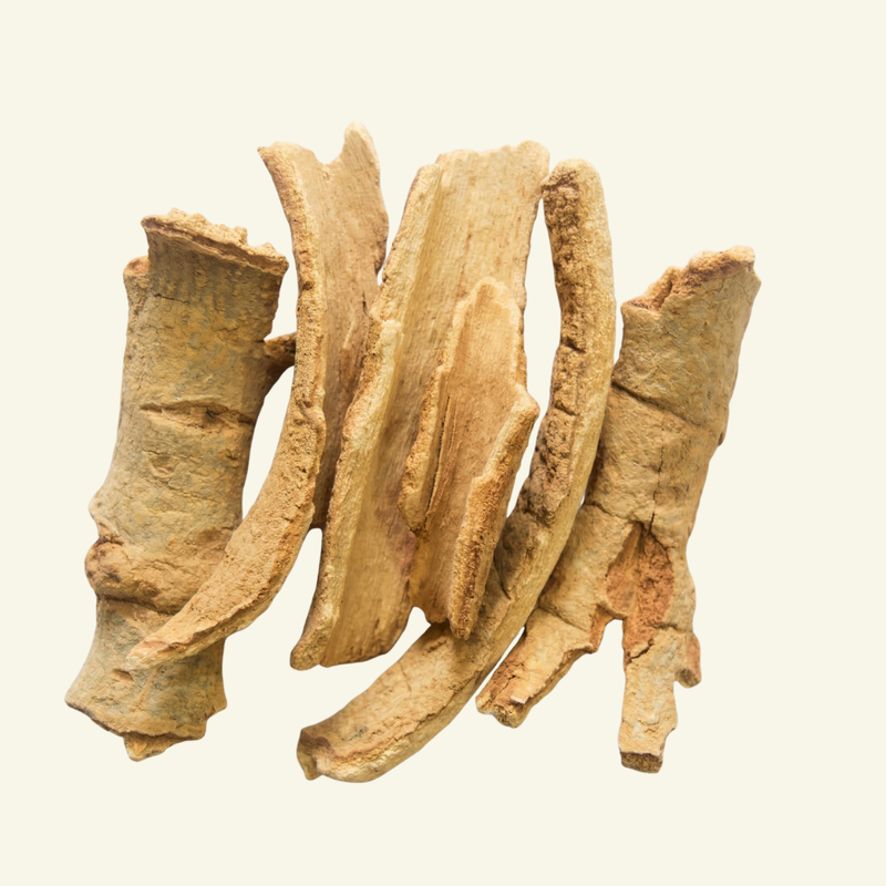 Lodhara (Symplocos racemosa)