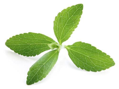 Stevia