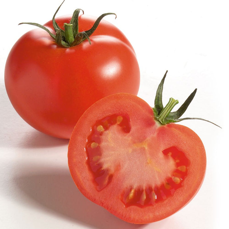 Lycopene Extract