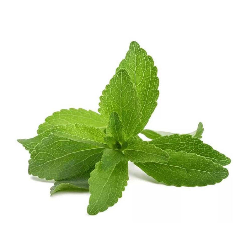 Stevia