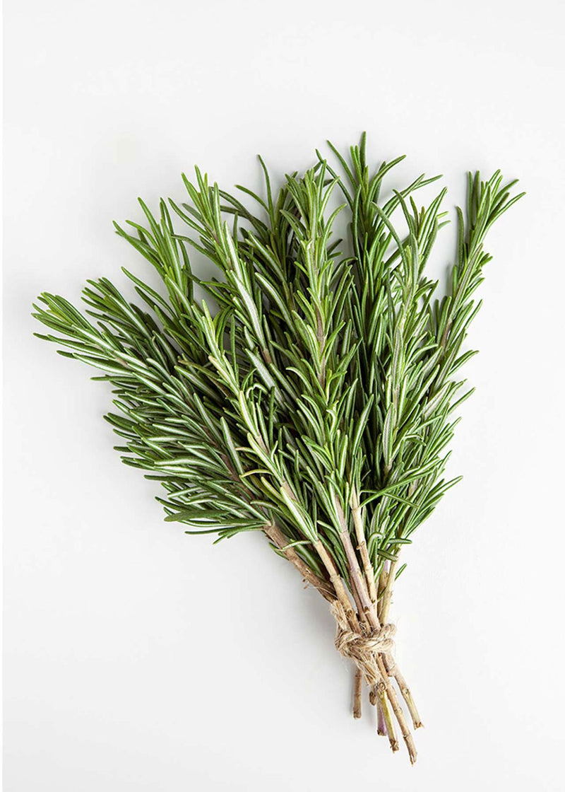 Rosemary (Rosemarinus officinalis)